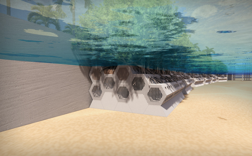 Sea Hive